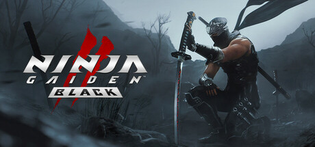 NINJA GAIDEN 2黑色